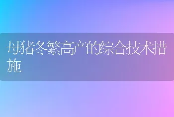 母猪冬繁高产的综合技术措施