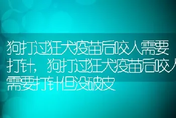 狗打过狂犬疫苗后咬人需要打针，狗打过狂犬疫苗后咬人需要打针但没破皮