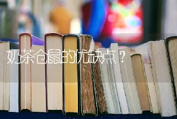 奶茶仓鼠的优缺点？