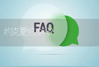 约克夏怕冷吗？