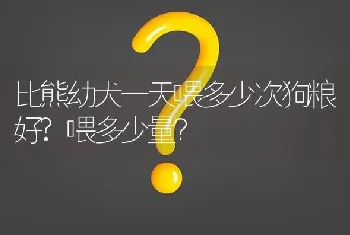 比熊幼犬一天喂多少次狗粮好?喂多少量？