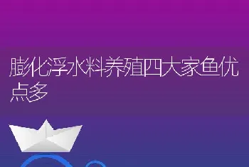 膨化浮水料养殖四大家鱼优点多