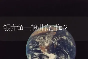 红绿灯适应温度是多少？