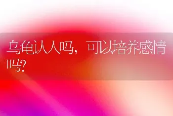 乌龟认人吗，可以培养感情吗？