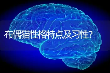 雪纳瑞、泰迪、比熊、西高地哪个相对好养些？