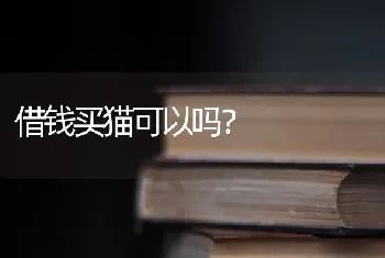 借钱买猫可以吗？