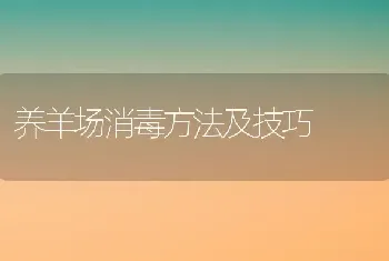 养羊场消毒方法及技巧