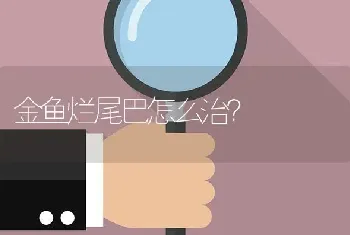 金鱼烂尾巴怎么治？