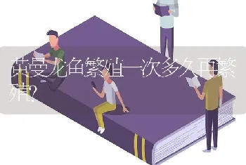 鱼加个时字读什么？