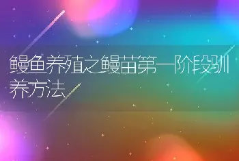 鳗鱼养殖之鳗苗第一阶段驯养方法