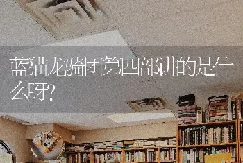 蓝猫龙骑团第四部讲的是什么呀？