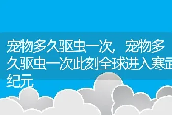 宠物多久驱虫一次，宠物多久驱虫一次此刻全球进入寒武纪元