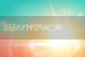 新法治疗鹌鹑黄白痢