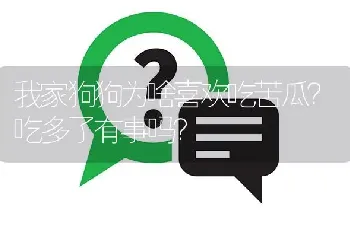 我家狗狗为啥喜欢吃苦瓜？吃多了有事吗？