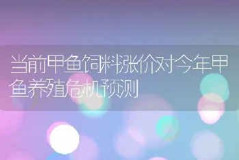 当前甲鱼饲料涨价对今年甲鱼养殖危机预测