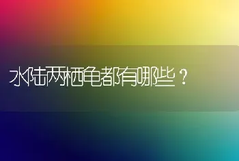 水陆两栖龟都有哪些？