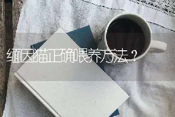 萨摩和柴犬养哪个好?哪个更会招人喜欢?哪个好，从性格当面和抵抗生病能力当面？