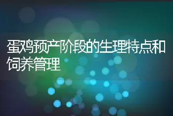 蛋鸡预产阶段的生理特点和饲养管理