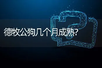 德牧公狗几个月成熟？