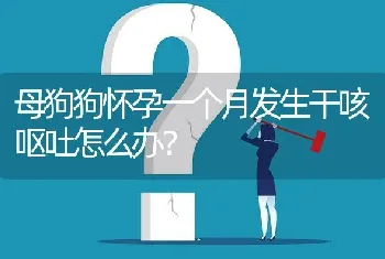 母狗狗怀孕一个月发生干咳呕吐怎么办？