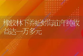 橡胶林下养蚯蚓每亩年纯收益达一万多元