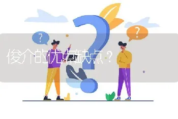 俊介的优点缺点？