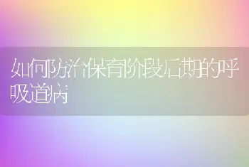 如何防治保育阶段后期的呼吸道病