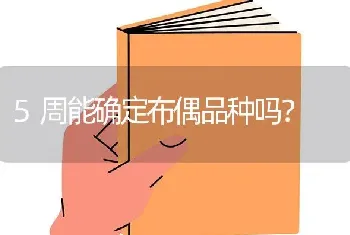 金吉拉泪痕的解决方案，金吉拉泪痕的快速解决方案？