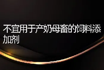 不宜用于产奶母畜的饲料添加剂