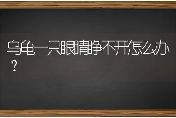 乌龟一只眼睛睁不开怎么办？