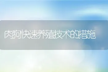 肉狗快速养殖技术的措施