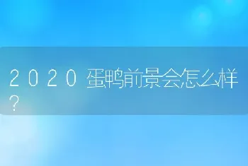 2020蛋鸭前景会怎么样？