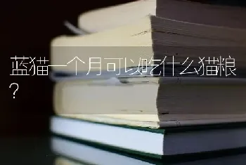 3个月的小母猫可以做绝育吗？