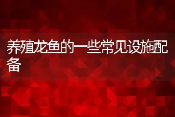 养殖龙鱼的一些常见设施配备