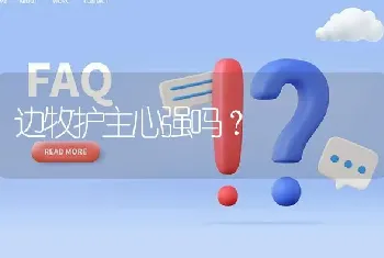 边牧护主心强吗？