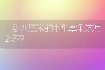 隔代遗传的折耳猫好养吗？