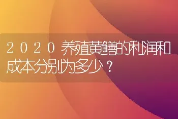 2020养殖黄鳝的利润和成本分别为多少？