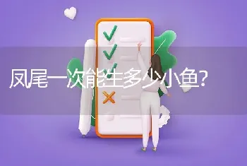 凤尾一次能生多少小鱼？