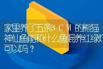 家里养了五条3CM的熊猫神仙鱼能和什么鱼混养红绿灯可以吗？