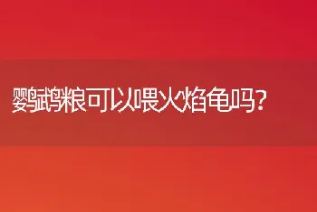 鹦鹉粮可以喂火焰龟吗？