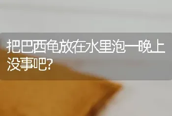 兔子的胡子为什么往前？