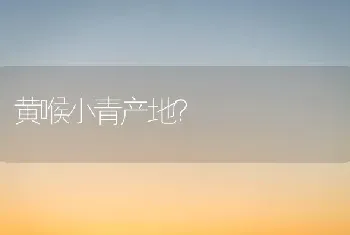 黄喉小青产地？