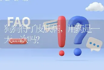 狗狗得了皮肤病，用药是一天一次吗？