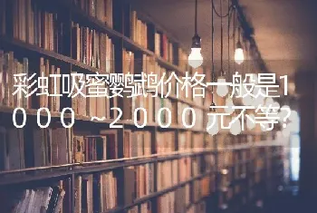 彩虹吸蜜鹦鹉价格一般是1000～2000元不等？