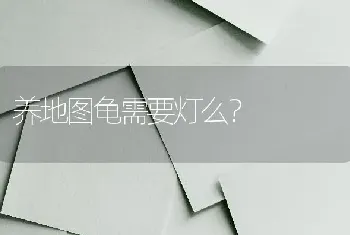 养地图龟需要灯么？