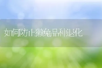 鱼塘春季施肥注意事项