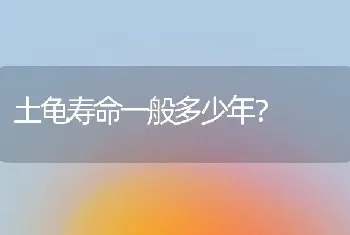 土龟寿命一般多少年？