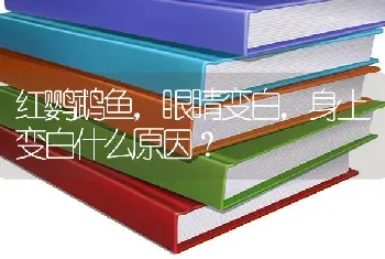 红鹦鹉鱼，眼睛变白，身上变白什么原因？