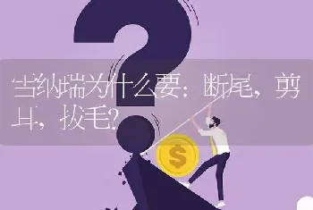 雪纳瑞为什么要：断尾，剪耳，拔毛？