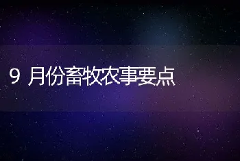 分娩舍中长白猪的饲养管理